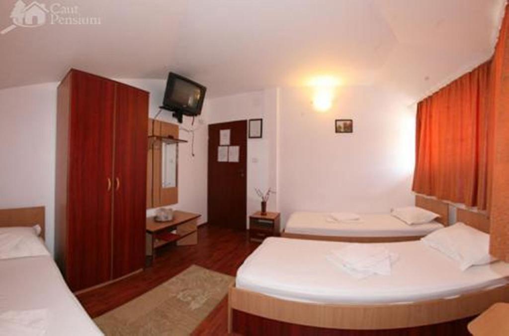 Pensiunea Ramona Tulcea Room photo