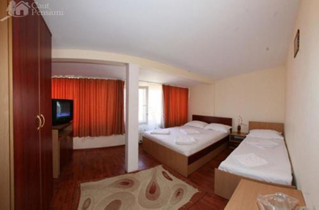 Pensiunea Ramona Tulcea Room photo
