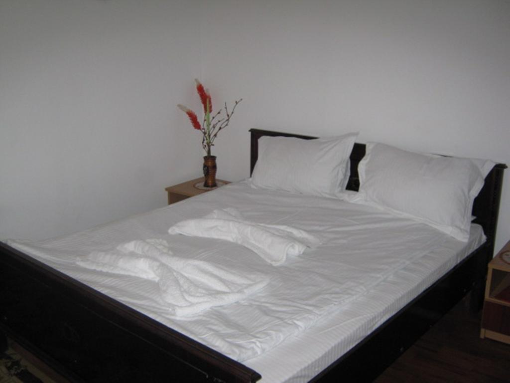 Pensiunea Ramona Tulcea Room photo