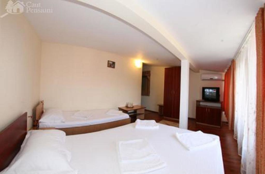 Pensiunea Ramona Tulcea Exterior photo
